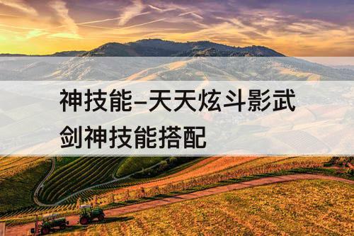 神技能-天天炫斗影武剑神技能搭配