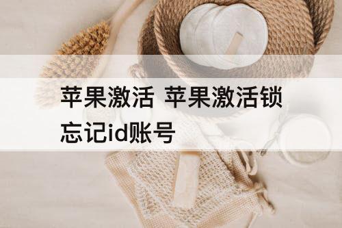 苹果激活 苹果激活锁忘记id账号