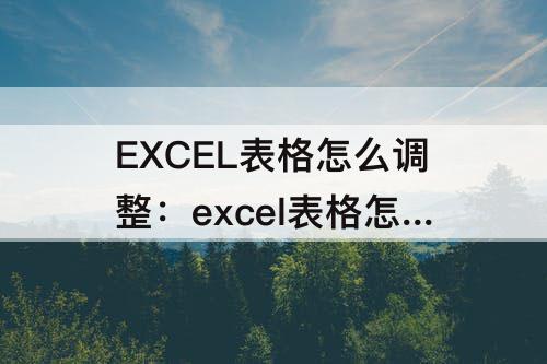 EXCEL表格怎么调整：excel表格怎么调整表格大小快捷键