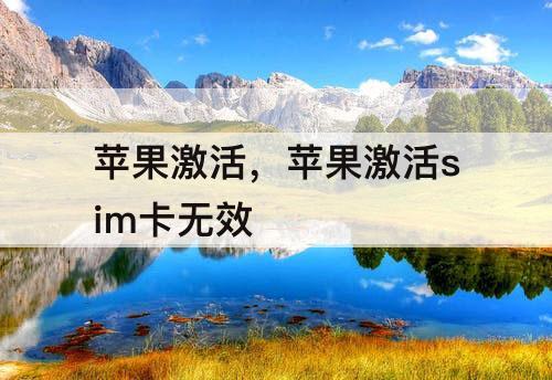 苹果激活，苹果激活sim卡无效