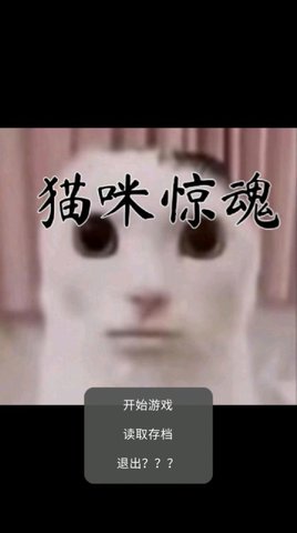 猫猫惊魂  v1.0图2