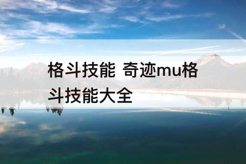 格斗技能 奇迹mu格斗技能大全