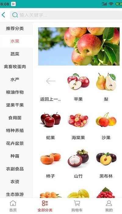 一品春风  v2.0.5图2