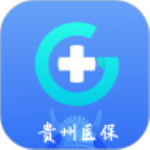 贵州医保村医通app