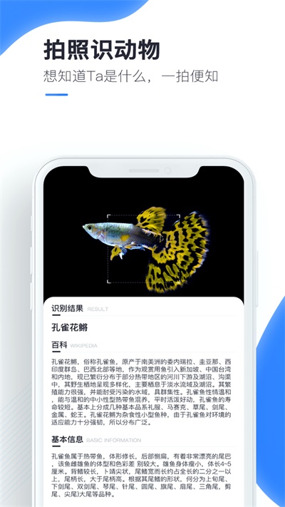 百科扫描王下载安装手机版苹果电脑  v1.0.0图1