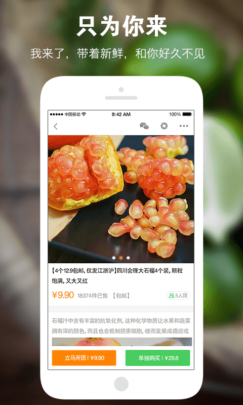 寻食者说  v1.0.4图3