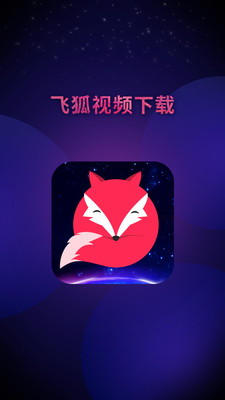 飞狐视频下载器手机版  v3.5.0图3