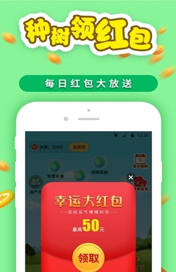 星宸种树2024  v1.4.4图2