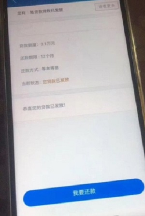 金蝶效贷app  v9.0.95图1