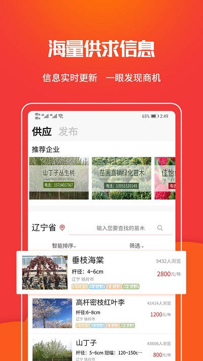 苗木网  v1.2.1图2