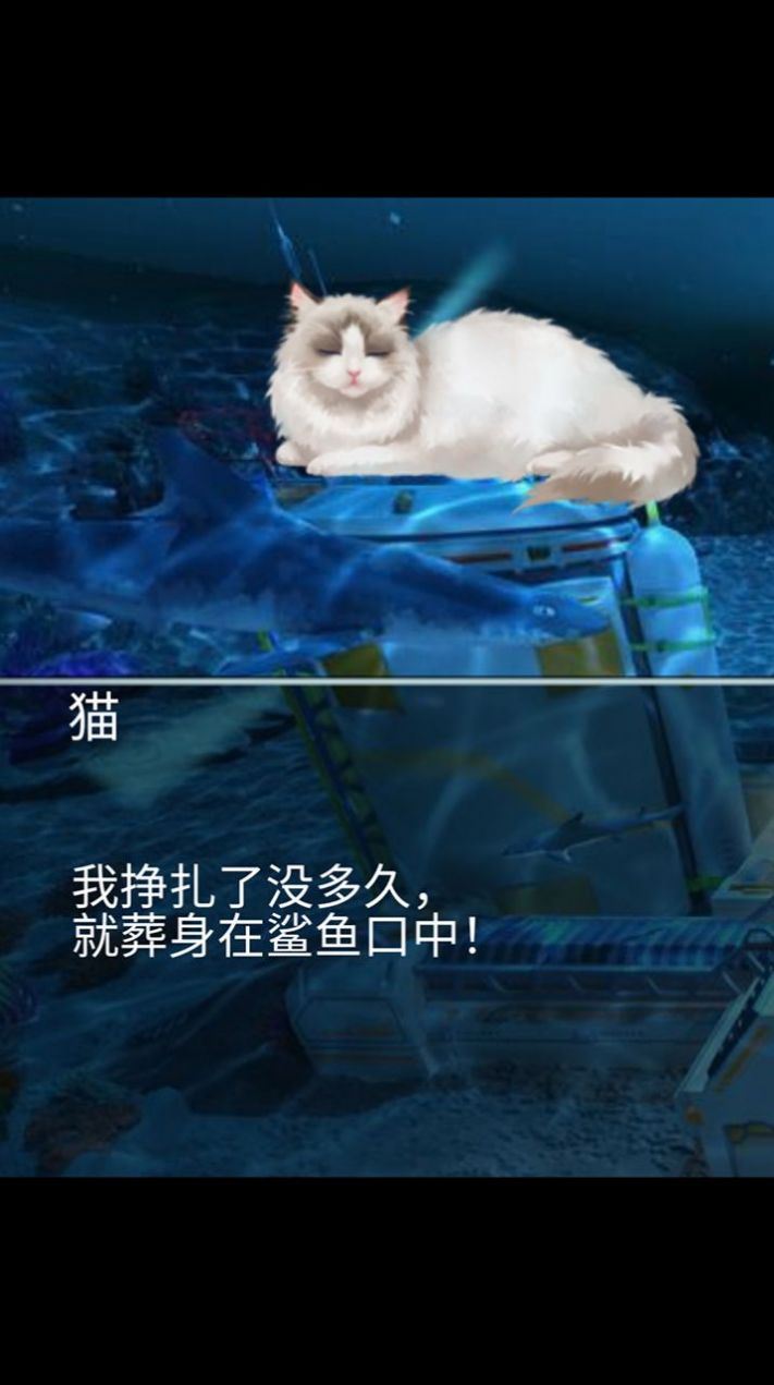 猫生煎熬  v1.00.07图1