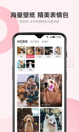 68宠物  v5.3.43图3