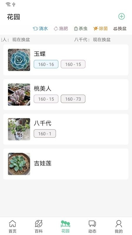 肉肉家  v1.3.1图2