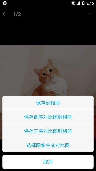 猫咪记账本