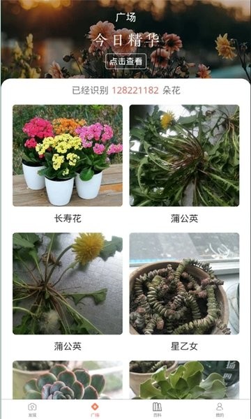 识花神器  v22.06.20图3