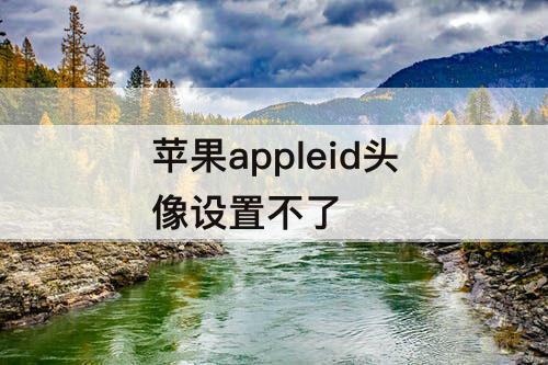 苹果appleid头像设置不了