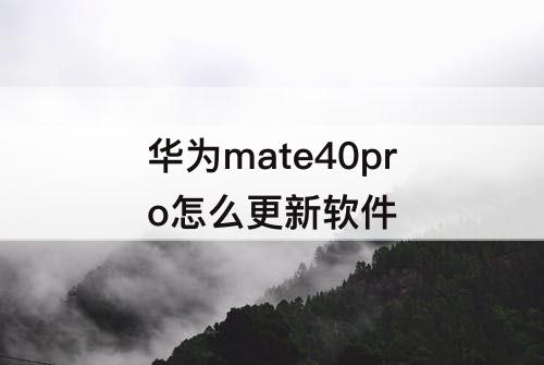 华为mate40pro怎么更新软件