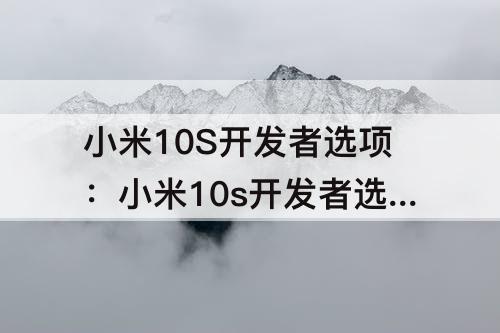 小米10S开发者选项：小米10s开发者选项在哪里找啊