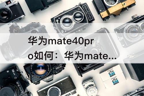 华为mate40pro如何：华为mate40pro如何提取图片文字