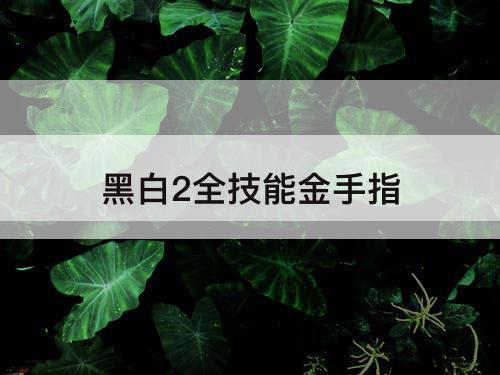 黑白2全技能金手指