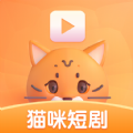 猫咪短剧bilibili