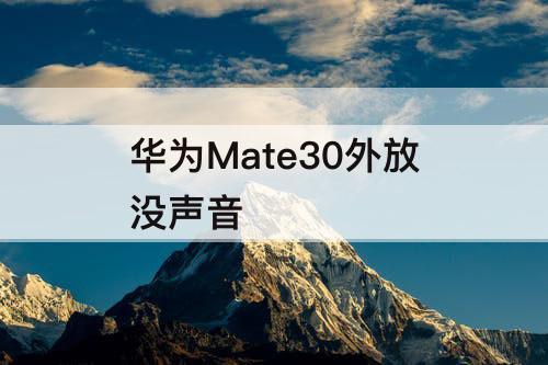 华为Mate30外放没声音