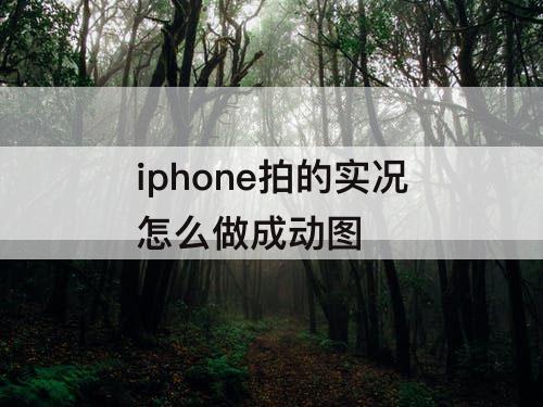 iphone拍的实况怎么做成动图