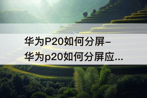 华为P20如何分屏-华为p20如何分屏应用