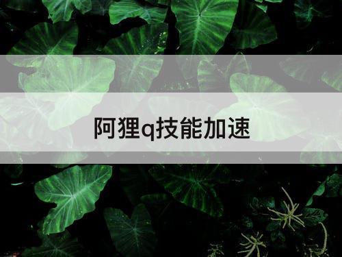 阿狸q技能加速