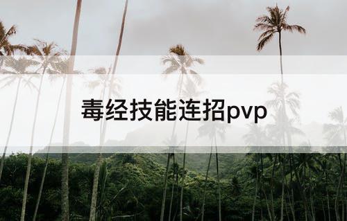 毒经技能连招pvp