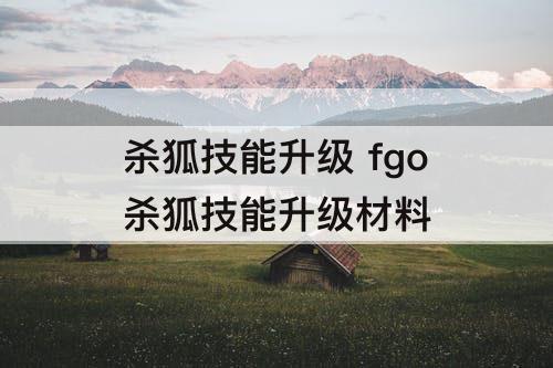 杀狐技能升级 fgo杀狐技能升级材料