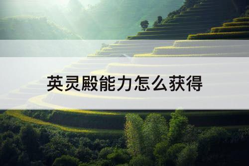 英灵殿能力怎么获得