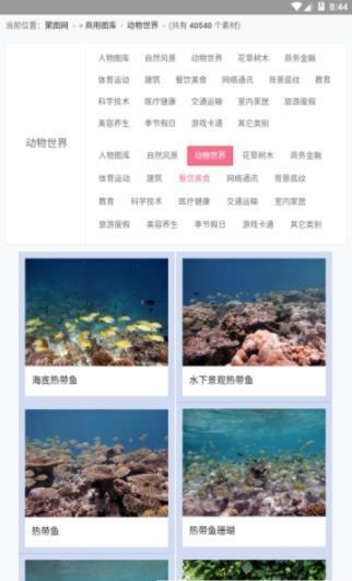 聚图库  v2.1.0图2