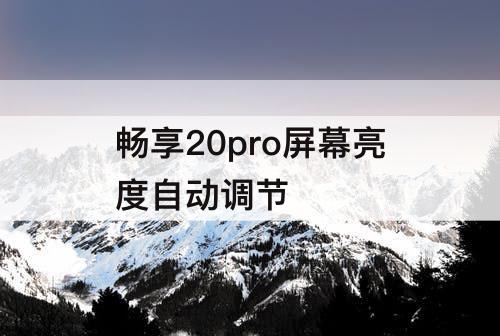 畅享20pro屏幕亮度自动调节