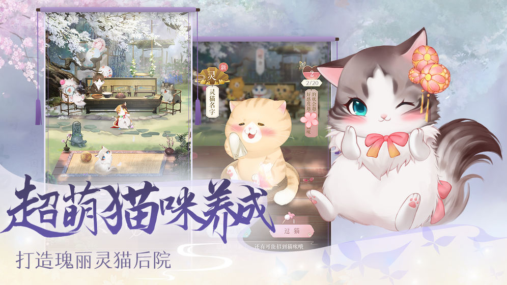 宁北灵猫传  v1.1.96图2