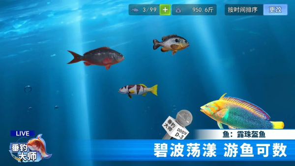 海洋垂钓大师下载破解版安装  v1.0.0图2