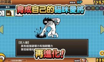 猫咪大战争dog版11.10.0最新版(可扭蛋)  v6.2.0图2