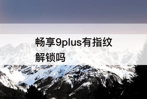 畅享9plus有指纹解锁吗