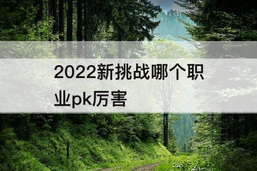 2022新挑战哪个职业pk厉害