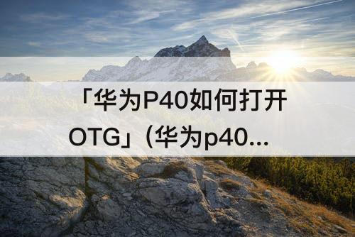 「华为P40如何打开OTG」(华为p40如何打开OTG功能最后PTP怎么传输)